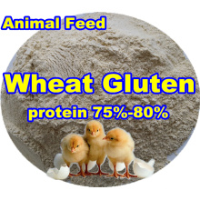 Wheat Protein Powder (75% 80%) for Animal Feed
